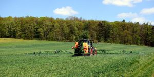 Taimekaitsetööd. Foto: Pixabay